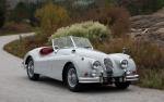 Jaguar XK140 Roadster 1956 года